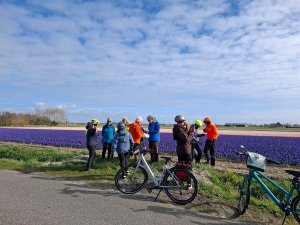 Geführte Rad- und Schiffsreise - Tulpentour 2027